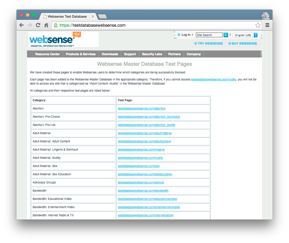 Websense Filtering Test